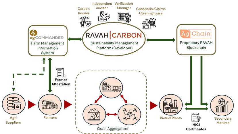 RAVAH|CARBON