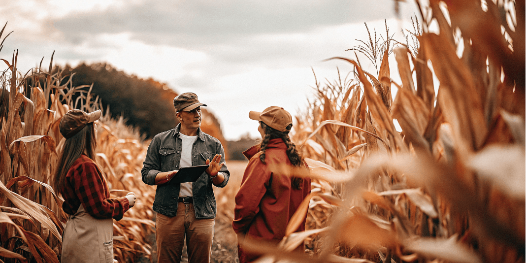 Farm training and consultation