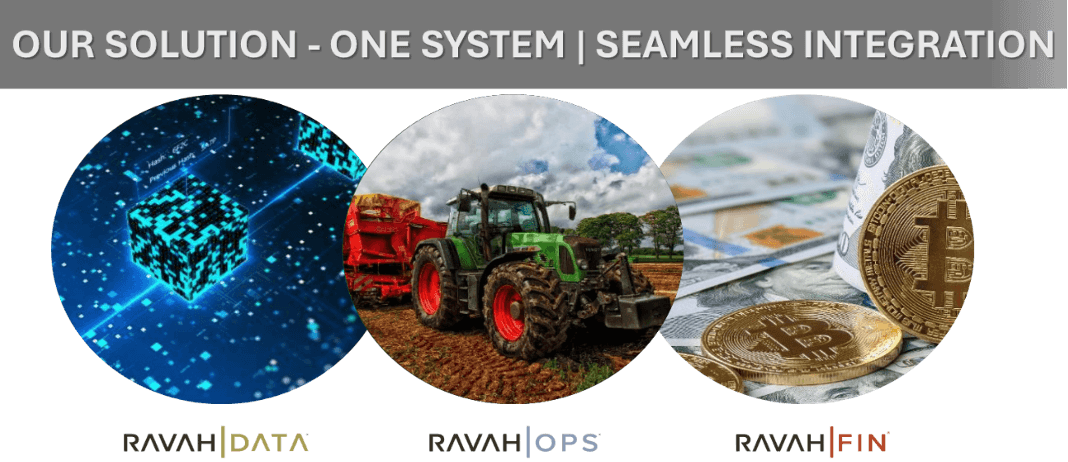 RAVAH team and technology solutions
