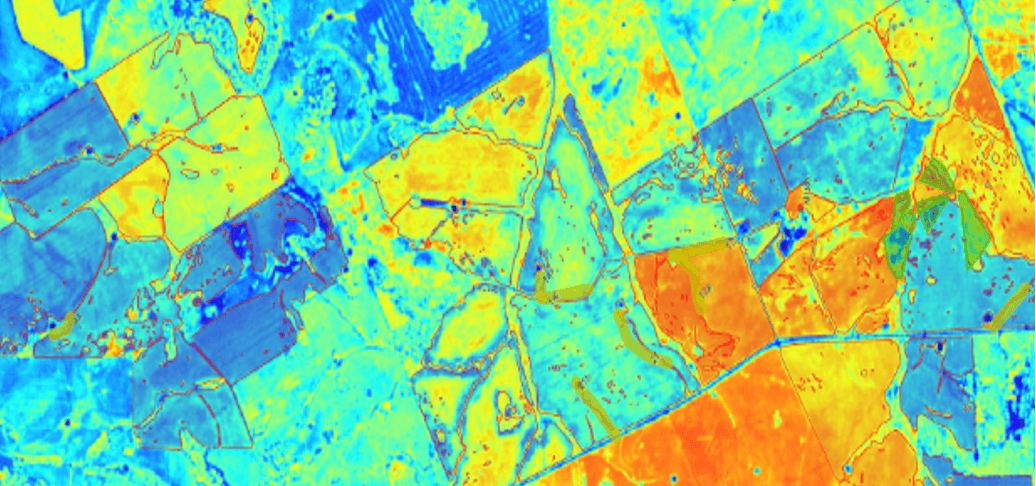 Identification of Crops
